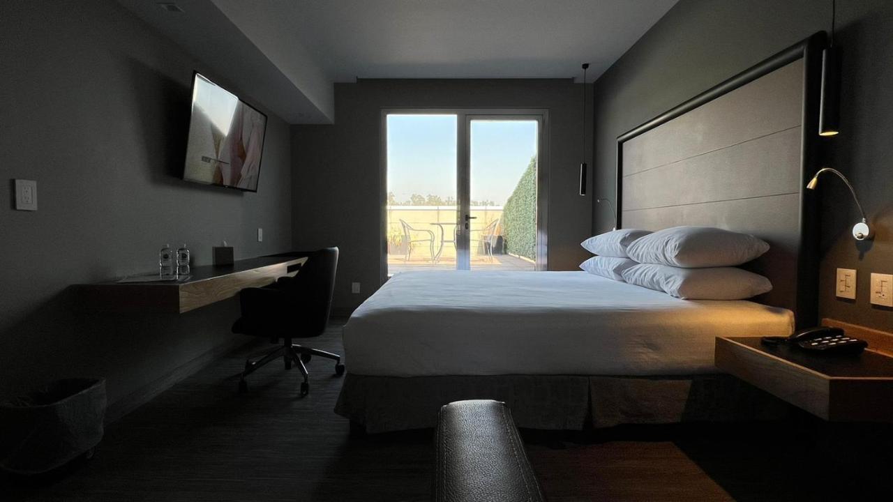 1 King Bed Suite Terrace Non-Smoking